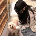 腾讯超梦超变版2qq微信版下载